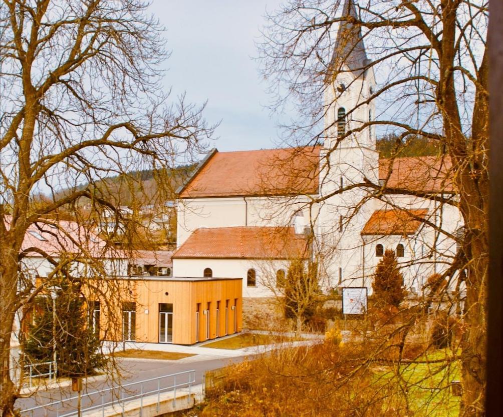 Pension Bergbauer Prackenbach エクステリア 写真